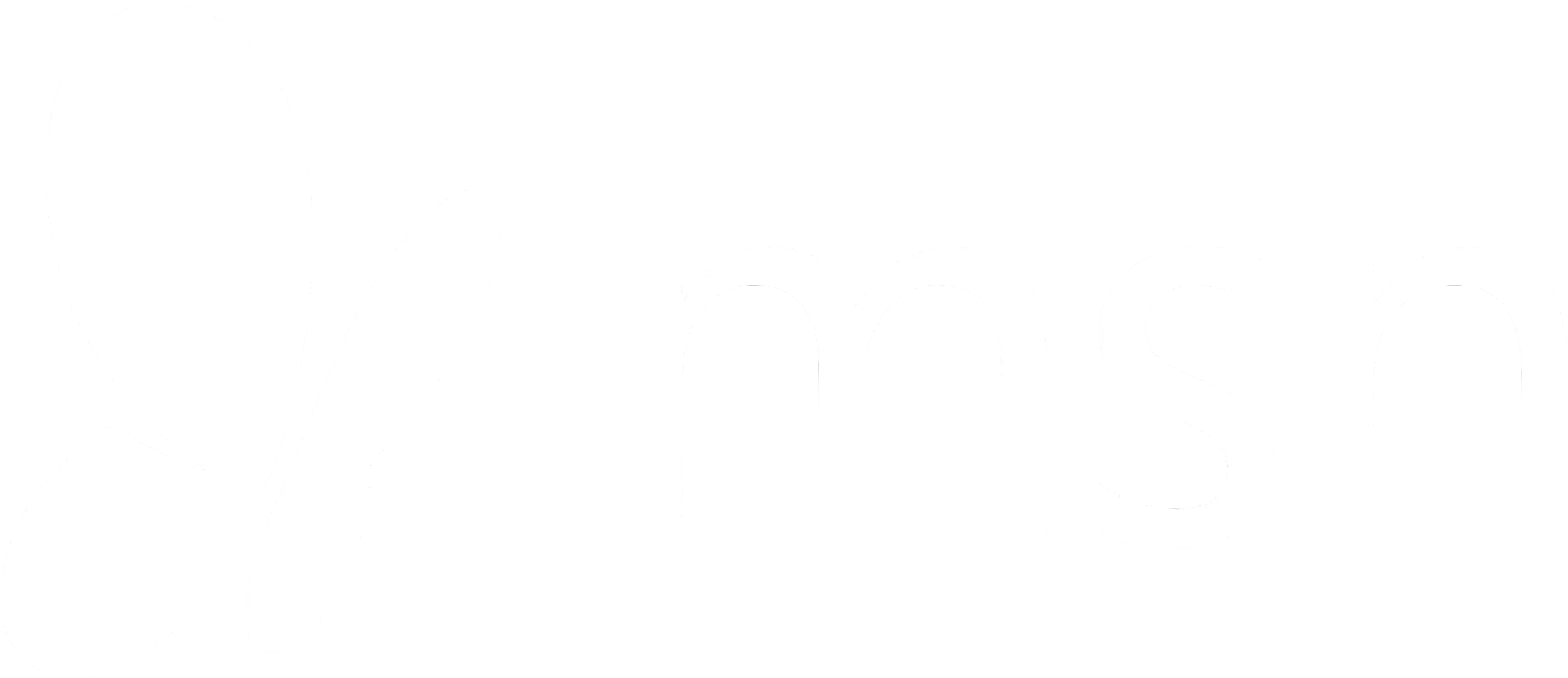 MSN icon